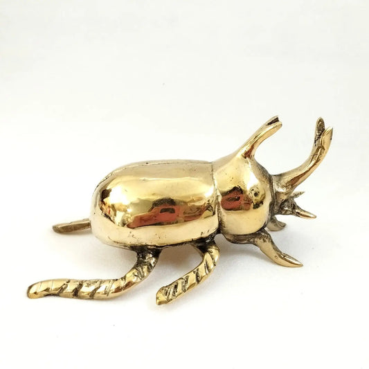 Brass Beetle Rhinoceros