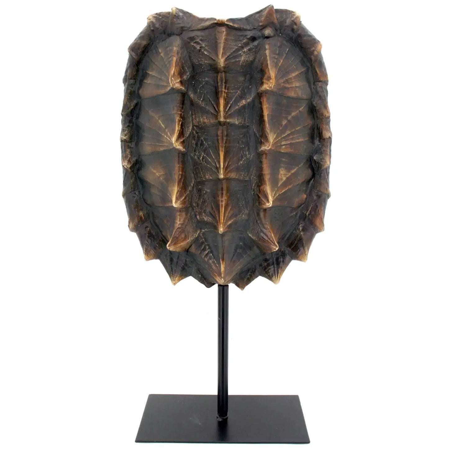 Faux Snapping Turtle Shell